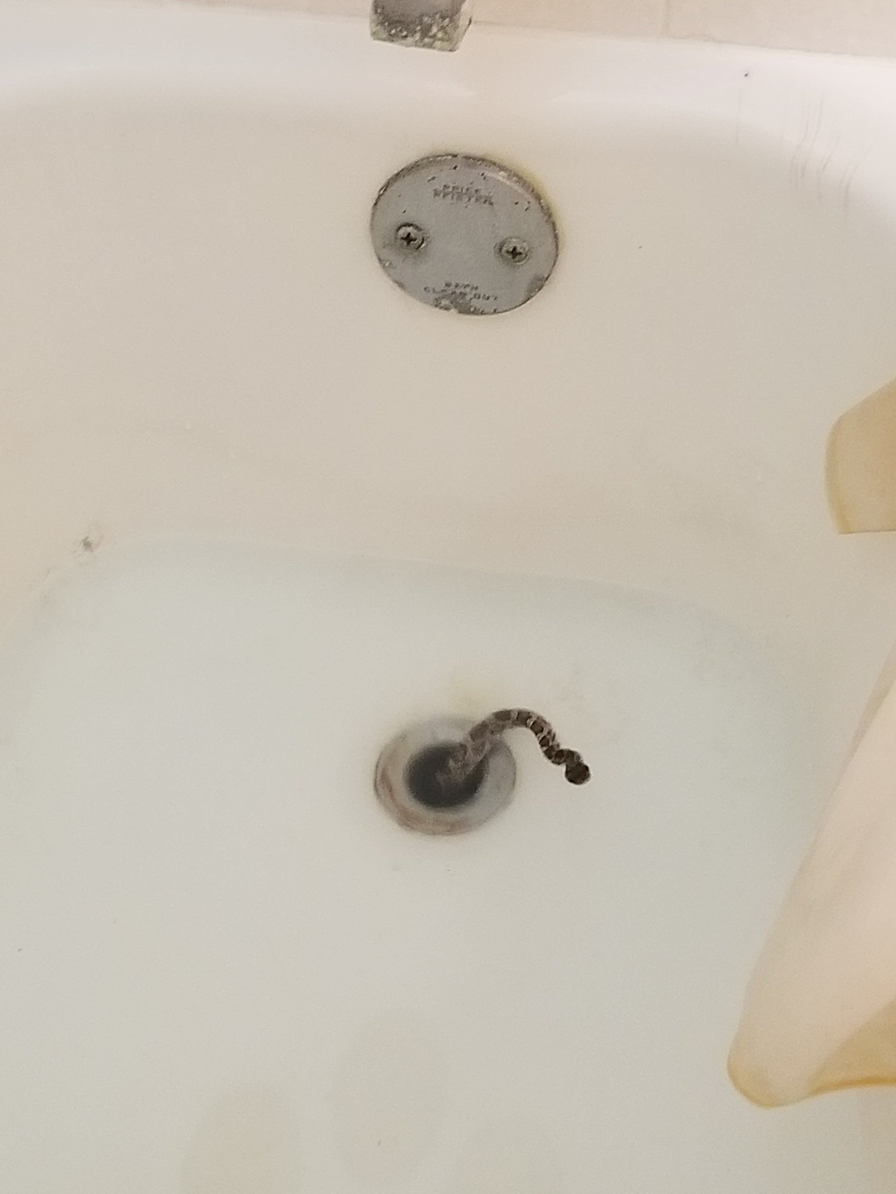 Steps To Resolve Snake In Tub Plumbing Forums